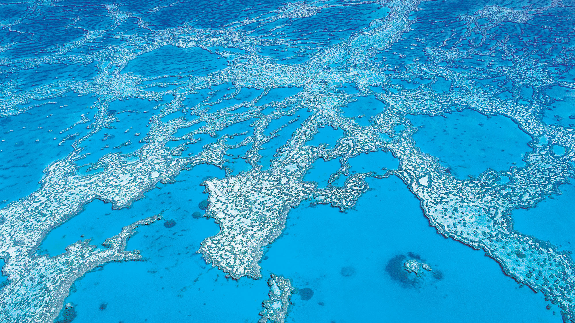 The Great Barrier Reef, one of the Unesco World Heritage sites threatened by climate change, according to a Union of Concerned Scientists report.
