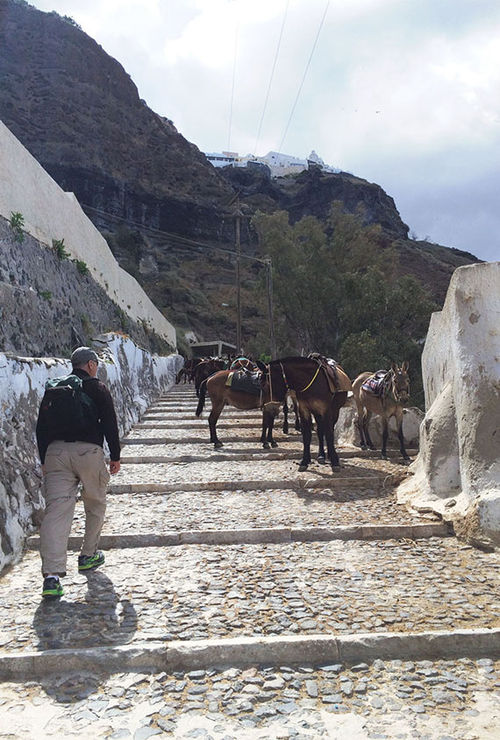Walking the donkey path from port to the cliff-top city of Thira on Santorini.