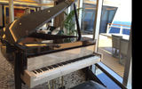 This custom-built Steinway piano in the Regent Suite cost $250,000.