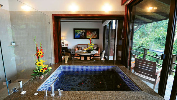 A Rainforest Suite. A Rainforest Suite.