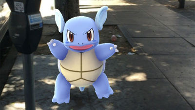 A Wartortle found on the streets of San Francisco.