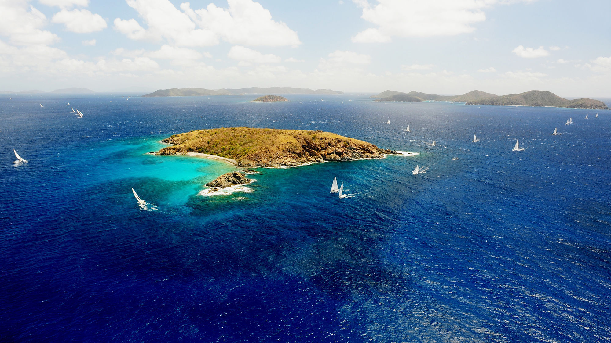 BVI introduces agent specialist program