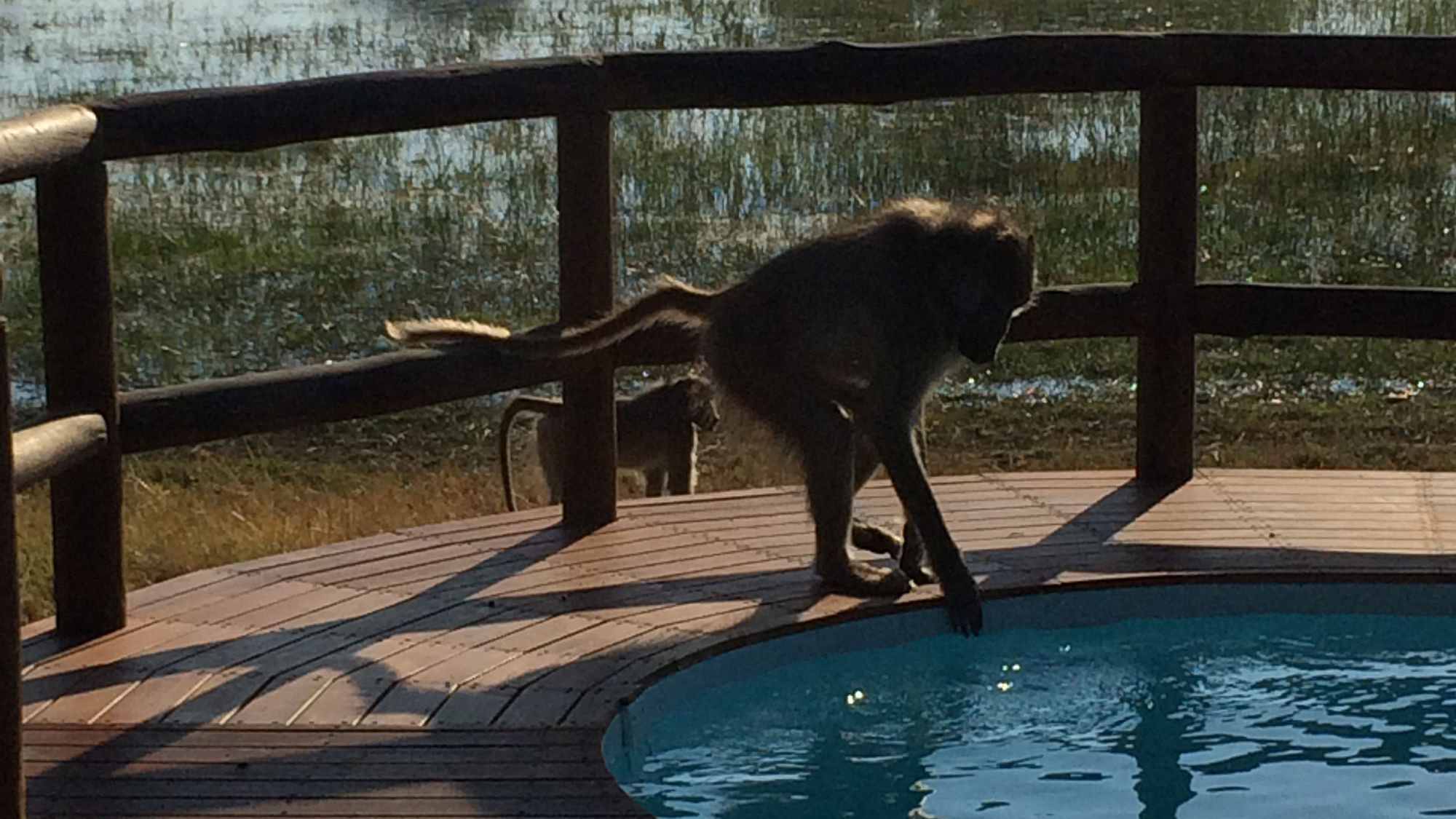 Sanctuary's refurbed camp brings a new level of luxury to safaris