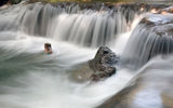The Estancia Mimosa Private Reserve in Bonito has a series of waterfalls where explorers can find various species of animals before relaxing on the property's hammocks.