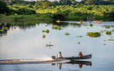 As all eyes are on Rio for the 2016 Summer Olympic Games, photojournalist Mark Edward Harris takes us on a photographic tour of the country to show that Brazil is also home to the world's largest wetland area, a wildlife and ecotourism paradise.