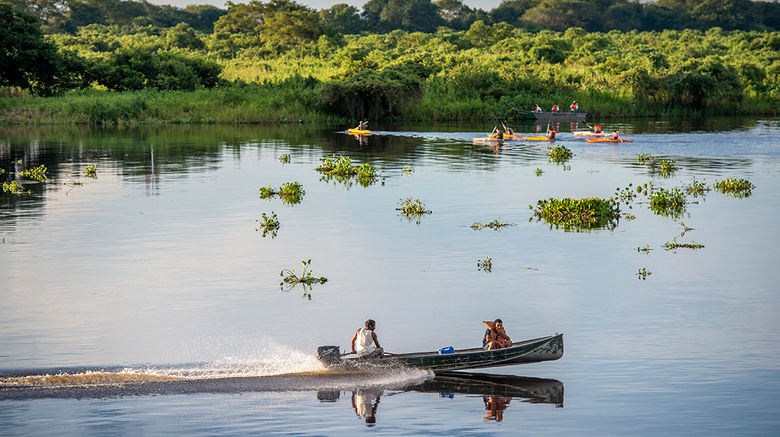 As all eyes are on Rio for the 2016 Summer Olympic Games, photojournalist Mark Edward Harris takes us on a photographic tour of the country to show that Brazil is also home to the world's largest wetland area, a wildlife and ecotourism paradise.