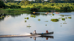 As all eyes are on Rio for the 2016 Summer Olympic Games, photojournalist Mark Edward Harris takes us on a photographic tour of the country to show that Brazil is also home to the world's largest wetland area, a wildlife and ecotourism paradise.