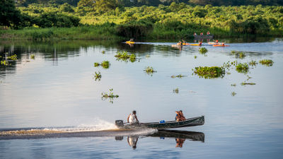 Exploring the Pantanal