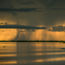 Exploring the Pantanal