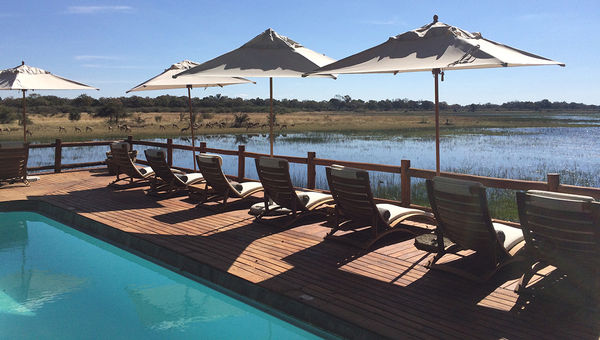 The pool at Sanctuary Retreats' Chief's Camp in Botswana.
