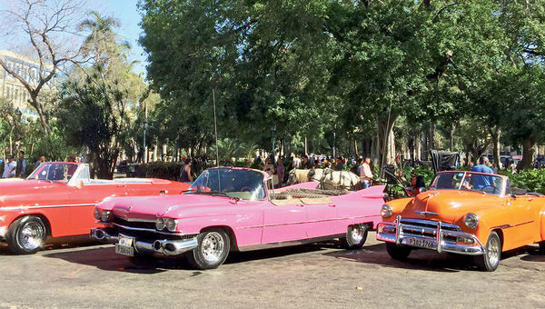 In Havana, some restored vintage cars have been transformed into taxis. In Havana, some restored vintage cars have been transformed into taxis.
