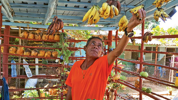 A fruit stand on the road from Cienfuegos to Trinidad. A fruit stand on the road from Cienfuegos to Trinidad.