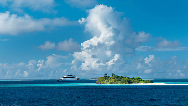The cruises aboard the Four Seasons Explorer will sail through the Baa and Ari Atolls with the exact route based on the chances of successful encounters with the manta rays. The cruises aboard the Four Seasons Explorer will sail through the Baa and Ari Atolls with the exact route based on the chances of successful encounters with the manta rays.