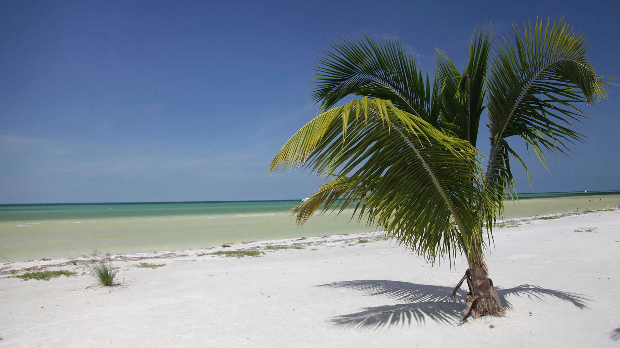 A beach on Isla Holbox.