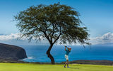 Built on lava outcroppings, the Jack Nicklaus-designed Manele Golf Course features three holes on oceanside cliffs.