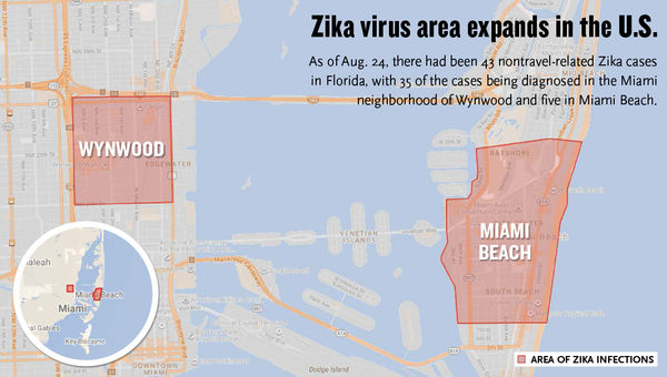 Miami's visitors are taking Zika in stride