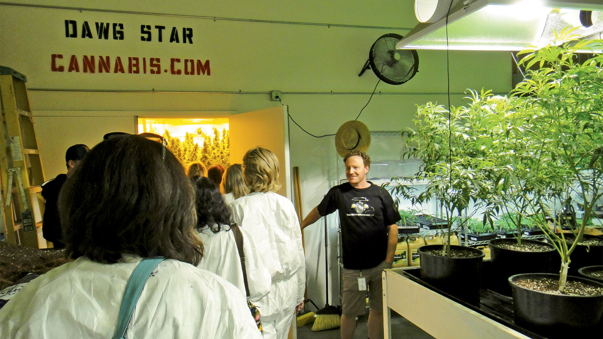 Among the excursions offered by Kush Tourism in Seattle is the Dawg Star Tour-Garden Tour, a 90-minute tour of a commercial marijuana-growing facility.