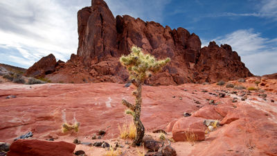 Maverick Helicopters is offering an exclusive tour to Four Seasons Las Vegas guests that includes a landing in the Valley of Fire.