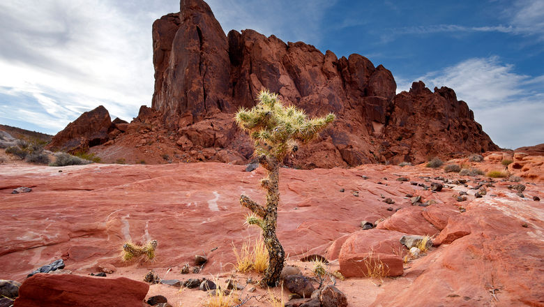 Maverick Helicopters is offering an exclusive tour to Four Seasons Las Vegas guests that includes a landing in the Valley of Fire.