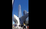 One World Trade Center in lower Manhattan rises behind the Oculus transportation center, which opened in June.