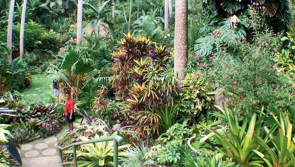 Hunte’s Garden is a 10-acre place of tranquility that contains a variety of tropical plants.
