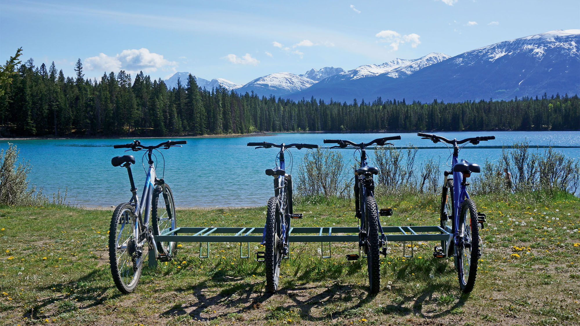 Bicycles parked in a rack in Alberta’s Jasper National Park.