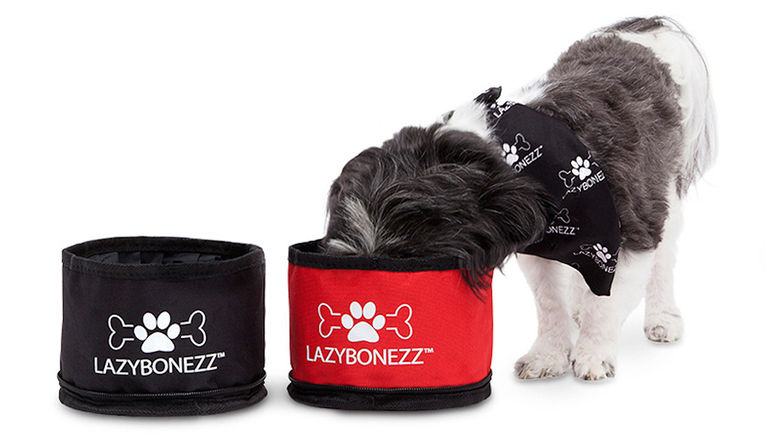 What's New, What's Hot is Travel Weekly's look at useful and fun travel gadgets, edited by Joe Rosen. First up, the LazyBonezz Portable Feeder. This foldable pet feeder bowl allows you to travel light when you are accompanied on a trip by your pet dog or cat. The bowl, which holds approximately 30 ounces (about four cups) of food or water when open, zips into a compact shape for easy and secure transport. Moreover, the product comes with a lobster claw clasp so that you can clip it to your bag or luggage, making it convenient when Fido needs it.