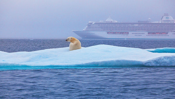 A polar bear sits in the Northwest Passage as the Crystal Serenity sails in the background. Climate change has caused the melting of sea ice, enabling ships the size of the Serenity to navigate the Passage.