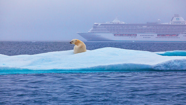A polar bear sits in the Northwest Passage as the Crystal Serenity sails in the background. Climate change has caused the melting of sea ice, enabling ships the size of the Serenity to navigate the Passage. A polar bear sits in the Northwest Passage as the Crystal Serenity sails in the background. Climate change has caused the melting of sea ice, enabling ships the size of the Serenity to navigate the Passage.