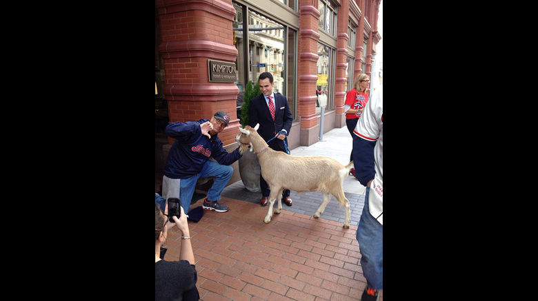 Kimpton Hotels got in on the World Series excitement that has taken hold in Chicago and Cleveland this week. The hotel company’s Chicago properties delivered a goat to general manager Adam Gurgiolo of Kimpton’s Schofield Hotel in Cleveland. The four-legged gift came with the following message: “Your Kimpton sister hotels in Chicago wanted to let you know ‘They Ain’t Afraid of No Goats!’ But YOU should be. They're so confident that their Cubbies will bring home the big W for Chicago that if they don't, all Kimpton Chicago hotels will offer Ohio residents rates of $99 the month of December (blackout dates and restrictions apply). And if the reverse happens, Schofield Hotel will offer Illinois residents the same deal. Do you accept our challenge?" (For the uninitiated, the goat holds a significant place in Cubs’ lore. In 1945, tavern owner Billy Sianis of the city’s Billy Goat Inn was said to put a curse on the ballclub after team officials refused admission to him and his pet goat to a World Series game at Wrigley Field. It marked the last time the Cubs had made it to the Series until they broke “The Curse of the Billy Goat” this year.)