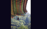 Woljeongsa Buddhist Temple was founded in the seventh century and is near the city of Pyeongchang, which will host the 2018 Winter Olympic Games.