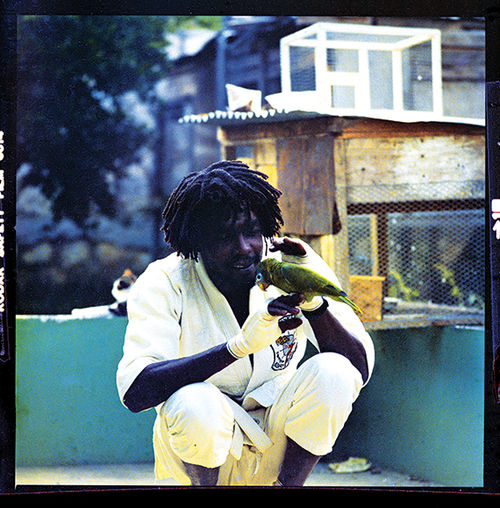 Reggae musician Peter Tosh. Reggae musician Peter Tosh.