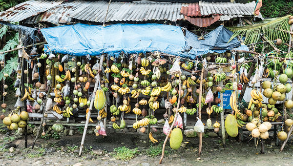 One of the island's fruit stands. One of the island's fruit stands.