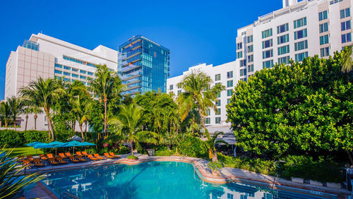 Pool area at the Palms Hotel & Spa. Pool area at the Palms Hotel & Spa.