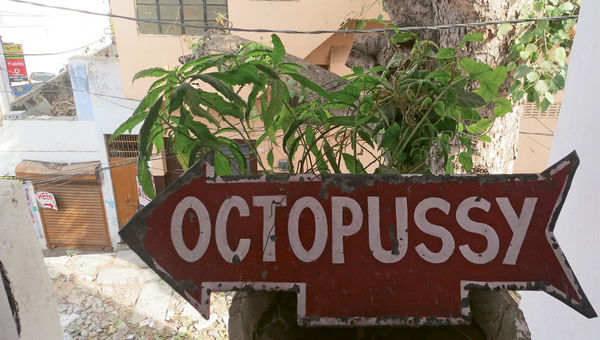 Udaipur still has many restaurants and guesthouses that show “Octopussy,” the James Bond movie filmed there. Udaipur still has many restaurants and guesthouses that show “Octopussy,” the James Bond movie filmed there.