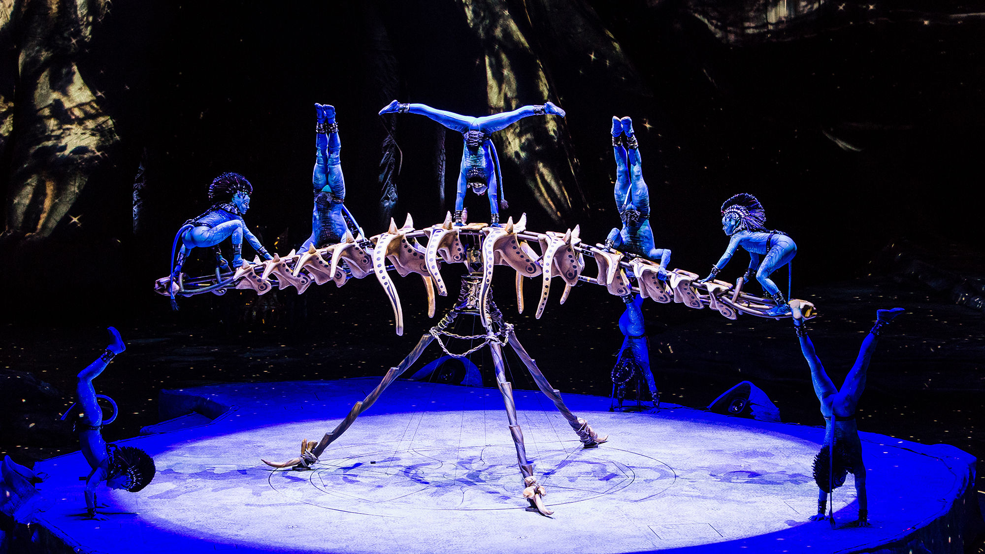 While most touring Cirque shows skip the Strip, with the opening of T-Mobile Arena this year, the "Avatar"-inspired "Toruk" will play Vegas.