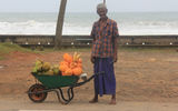 A coconut salesman by the seaside in Galle.