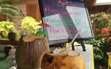 Cold coconut refreshers are for sale in the shopping village at Harvest Caye.