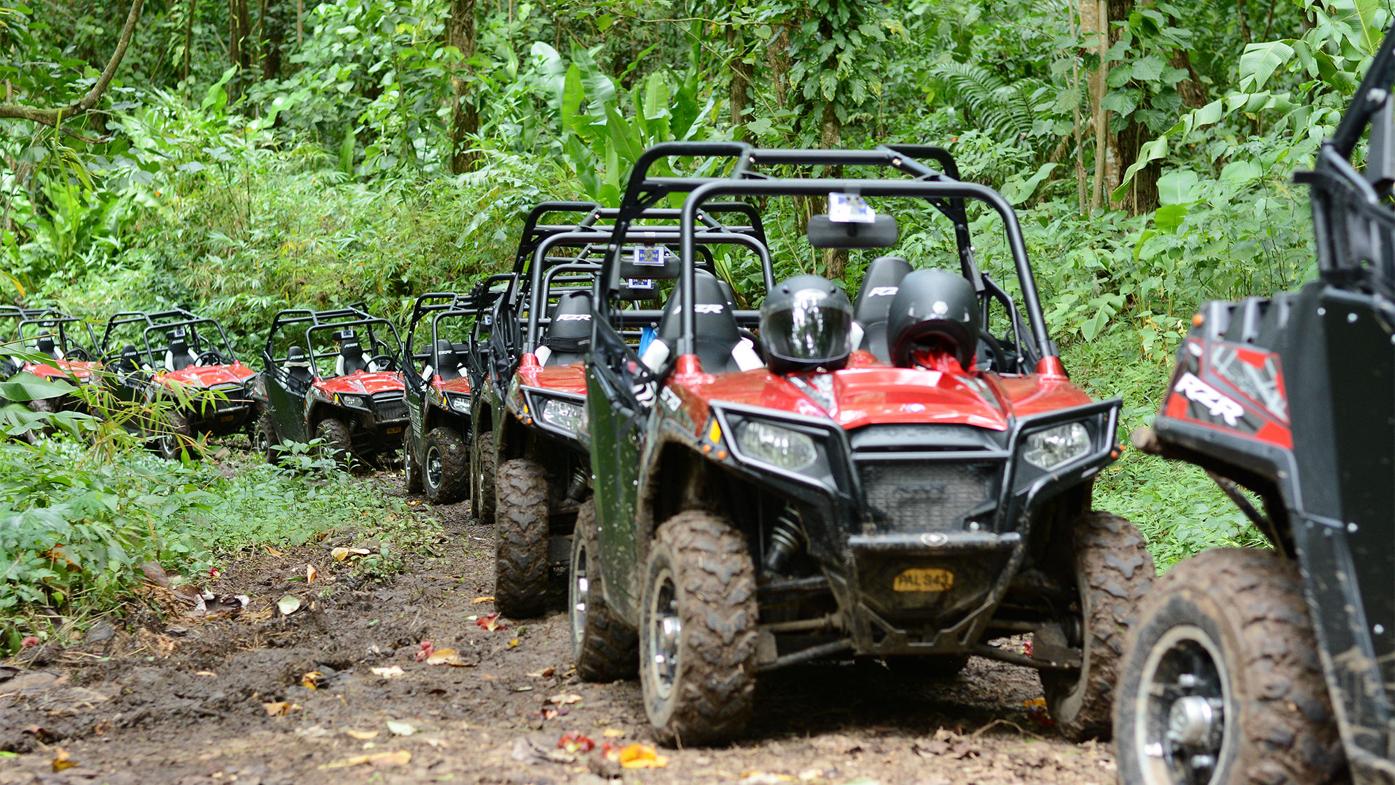 A new Island Routes’ excursion in Grenada features rainforest exploration tour by dune buggy.