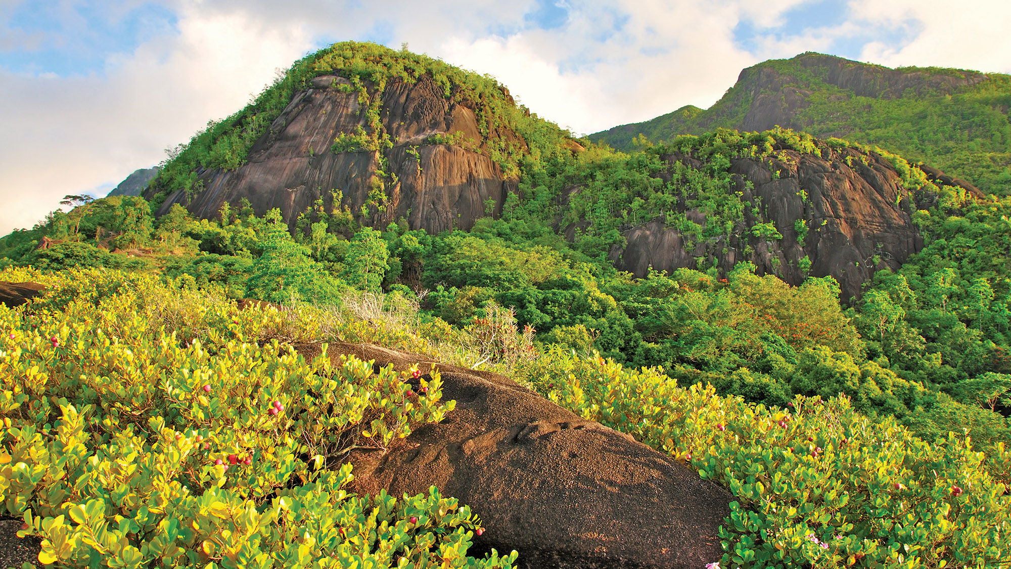 The view from the Anse Major Trail on Mahe in Seychelles.