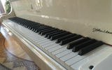 Yanukovych's piano was a limited edition white Steinway grand signed by John Lennon, one of only 25 made. This one is numbered 2/25; no. 1 belonged to Libya's deposed dictator Muhammar Qaddafi, and was destroyed when his residence was looted and vandalized, according to Oliynyk.