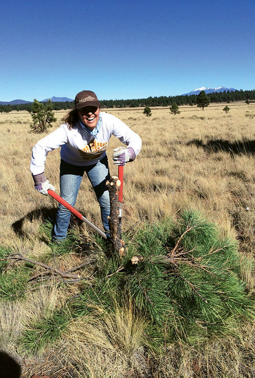 Last year, Tourism Cares partnered with the National Park Foundation for five volunteer efforts at U.S. national parks, including the Grand Canyon. Last year, Tourism Cares partnered with the National Park Foundation for five volunteer efforts at U.S. national parks, including the Grand Canyon.