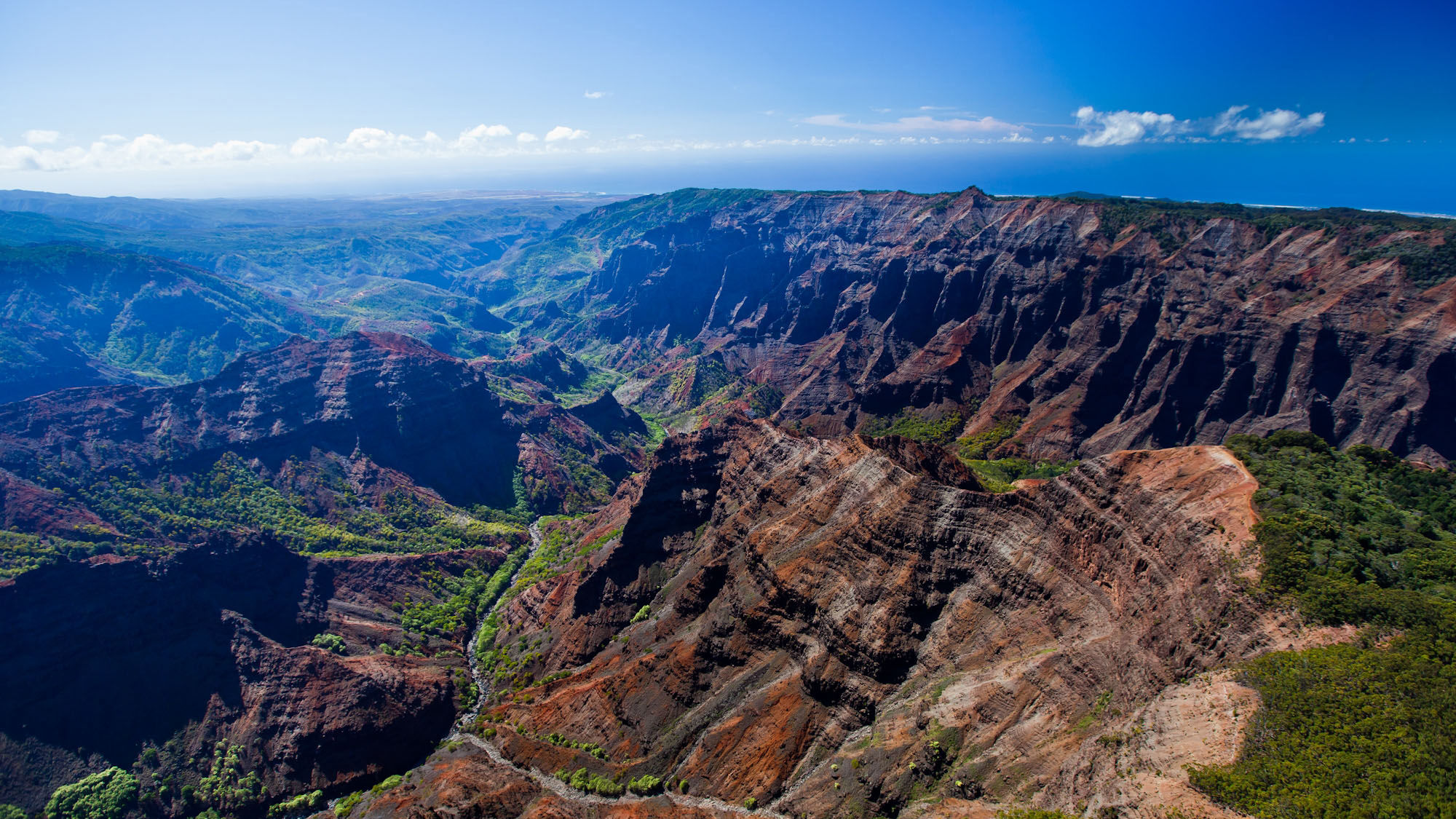 A view of Waimea Canyon on Kauai from a hiking trail.