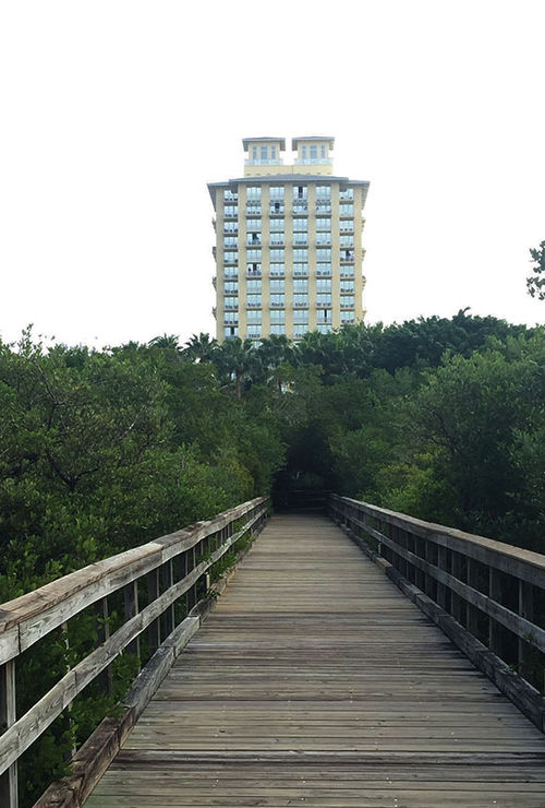 A view of Hyatt Regency Coconut Point towering over the mangroves.