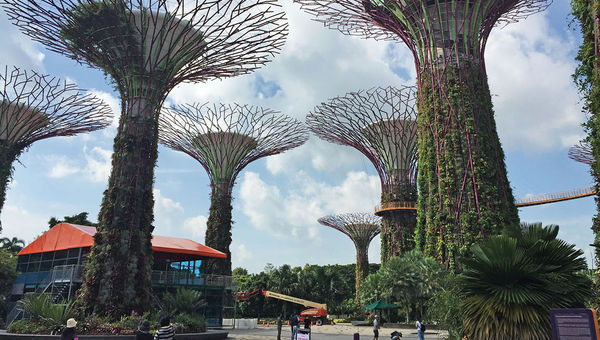 The Gardens by the Bay is a high-tech botanical garden with plants wrapped around giant steel trees. The Gardens by the Bay is a high-tech botanical garden with plants wrapped around giant steel trees.