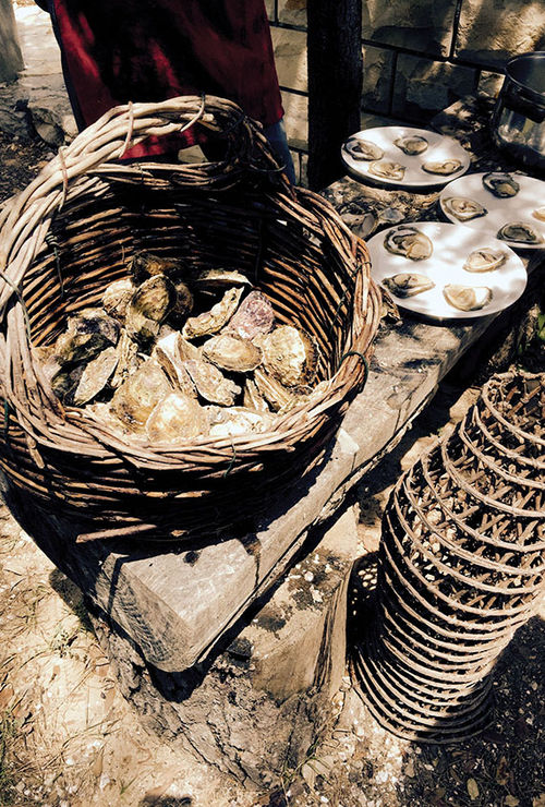 Oysters from Ston are harvested by hand and served alfresco. Oysters from Ston are harvested by hand and served alfresco.