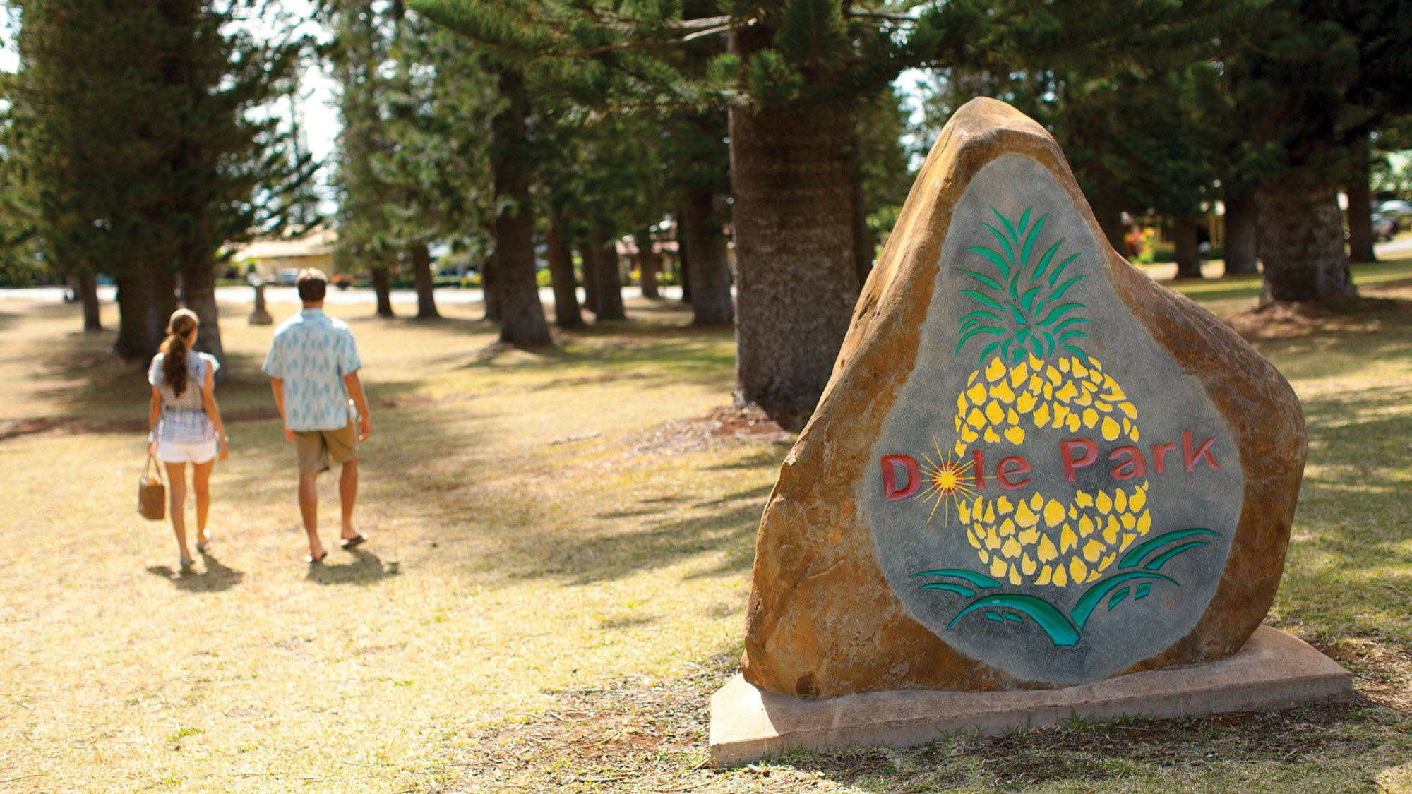 Families can explore the history of pineapple plantations and sample some of the fresh fruit at Dole Park on Lanai.