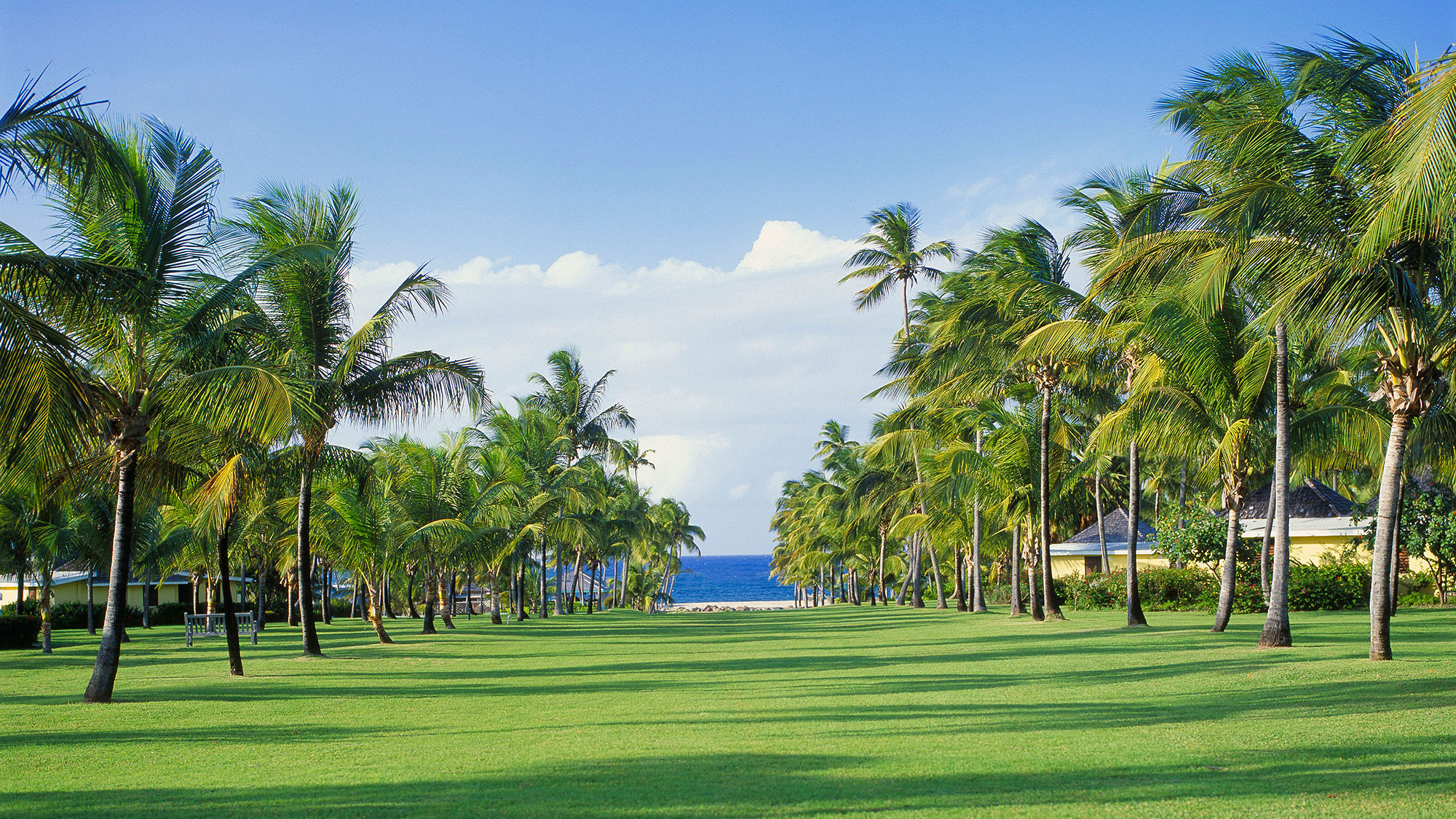 Nisbet Plantation simplifies pricing