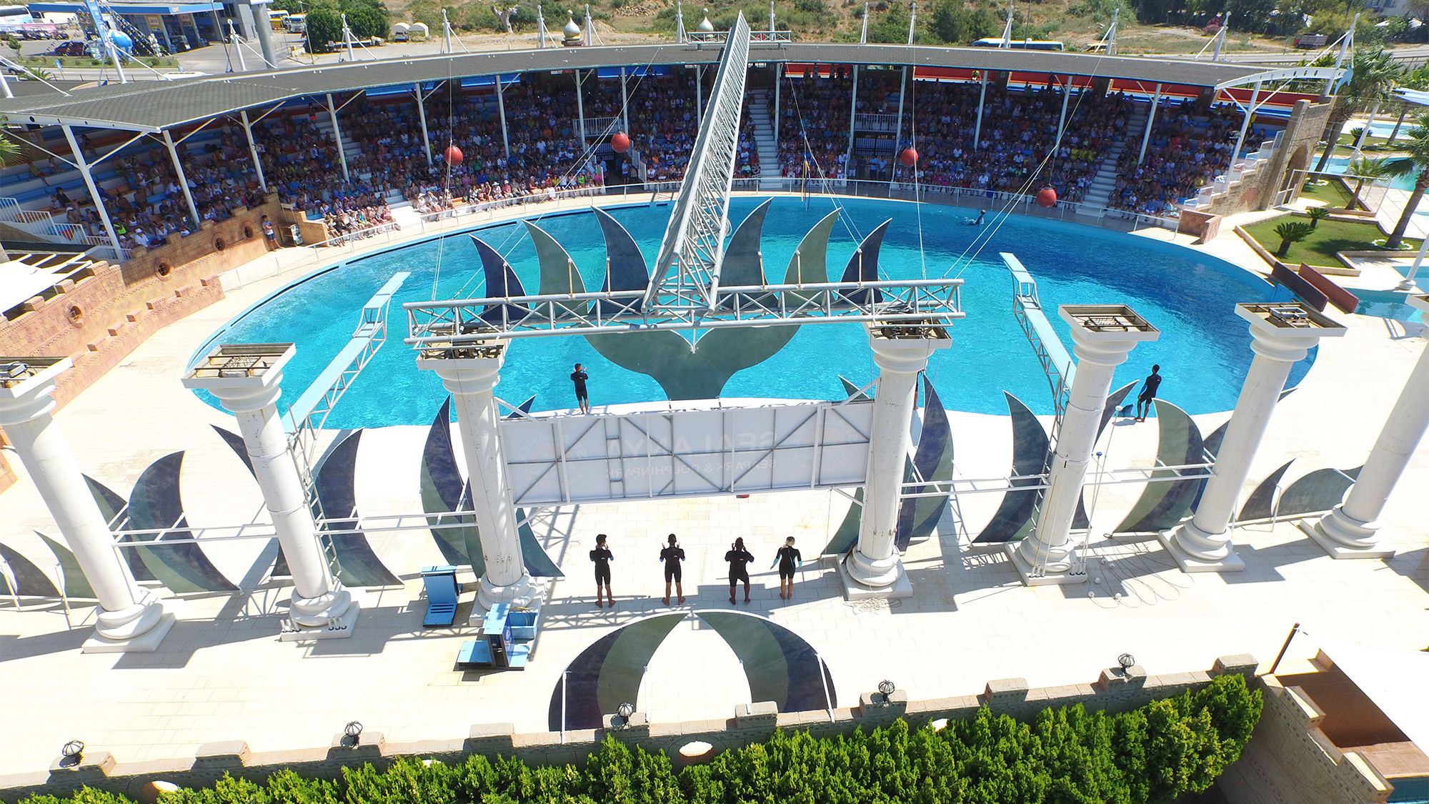 Thomas Cook has stopped selling tickets to dolphin parks among other wildlife attractions.