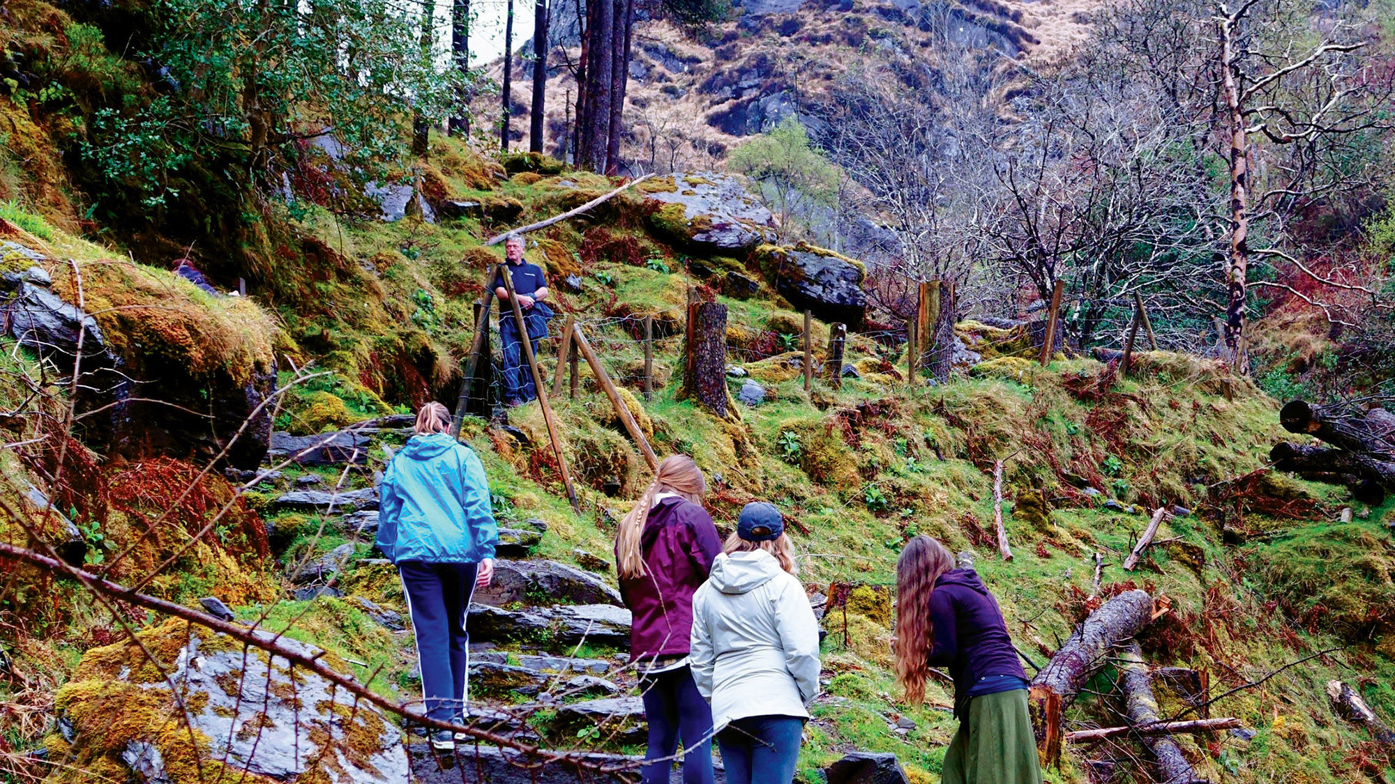 Members of a Vagabond Tours group climb a rain-sllcked stone path in Ireland. The company offers less active exploration options it calls Driftwood trips.